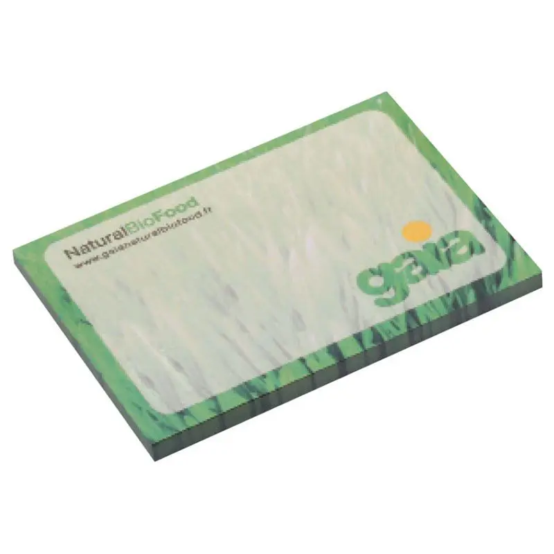 Sticky Notes 4 X 3